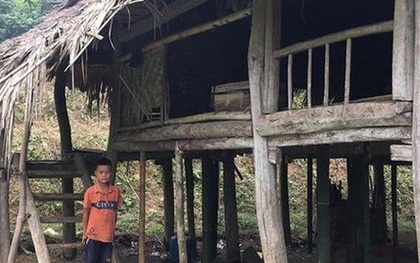 Nhóm từ thiện muốn dựng lại nhà cho “cậu bé sống cô độc trong rừng”