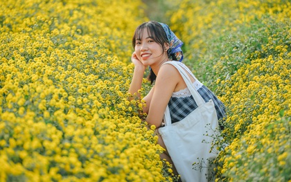 Cánh đồng hoa cúc chi nở vàng rực gần Hà Nội, người dân ồ ạt kéo đến chụp ảnh