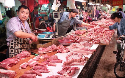 Lợi dụng dịch tả lợn, tội phạm Trung Quốc dùng đủ chiêu trò để trục lợi, từ vứt mầm bệnh vào chuồng lợn đến bán thịt nhiễm bệnh ra thị trường