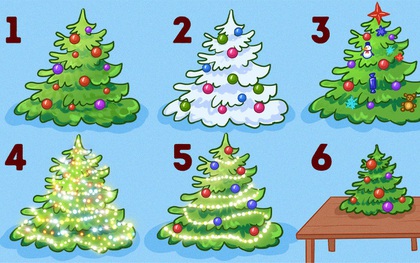 Bạn thích một cây thông Noel như thế nào? Lựa chọn ấy nói lên nhiều điều về bản thân bạn đấy