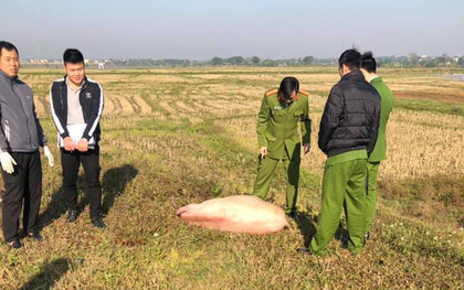 Phú Thọ: Người đàn ông nghi trộm lợn để lại xe máy và tang vật rồi bỏ chạy khi bị công an truy đuổi