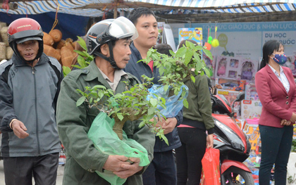 Hàng vạn người đổ về chợ Viềng khiến đường tắc hàng km, ai cũng lựa mua chậu hoa, cây cảnh lấy may đầu năm
