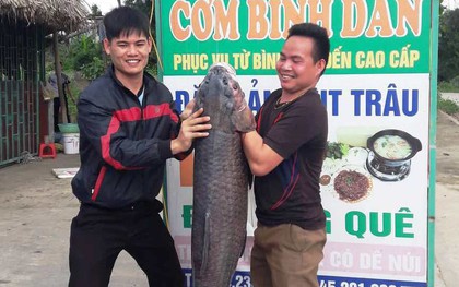 Cá trắm đen nặng hơn 33 cân, dài gần 1 mét sa lưới ngư dân Thanh Hóa