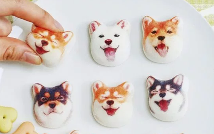 Đội quân kẹo dẻo mặt chó Shiba gây sốt thị trường Nhật, dễ thương quá chỉ ngắm chứ không ăn!