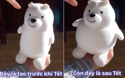 Tết sướng vui gì chưa thấy, đã thấy tương lai tăng cân mất kiểm soát qua chú gấu Bắc Cực "tiên tri"