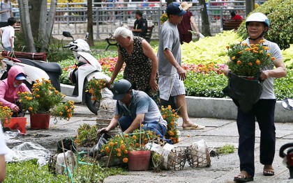 Trưa 30 Tết, nhiều tiểu thương Sài Gòn tự tay đập chậu hoa cảnh, vứt la liệt ở công viên