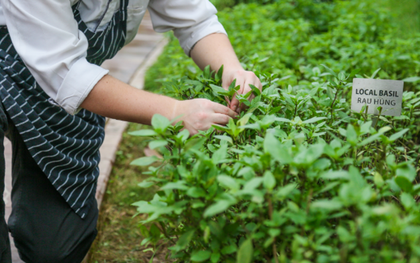 "Locavore" hay câu chuyện về một xu hướng ẩm thực mới