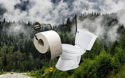 Lượng giấy vệ sinh người Mỹ dùng trong 1 năm bằng cả cánh rừng Canada