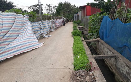 Vụ người phụ nữ đi tập thể dục bị sát hại: Công an thông tin về nghi vấn nhân chứng chính là hung thủ