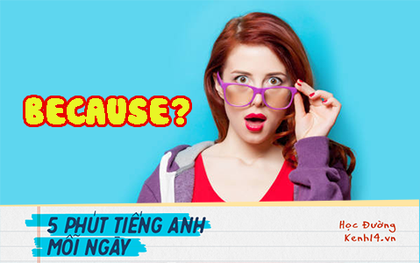 5 điều giáo viên Tiếng Anh nói rằng nó sai nhưng thực tế thì... chẳng sao cả