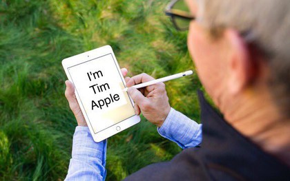 Khổ thân CEO Apple: Đăng ảnh khoe iPad mini mới, chẳng hiểu sao lại thành tâm điểm bị chế ảnh