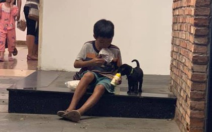 Hình ảnh xúc động: Chỉ có 1 gói sữa nhưng cậu bé san đôi, vừa uống vừa bón cho chú chó nhỏ trên vỉa hè