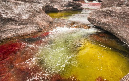 Đây là con sông đẹp nhất thế giới: Lung linh 5 màu sắc, được mệnh danh là "cầu vồng sống" vi diệu nhất