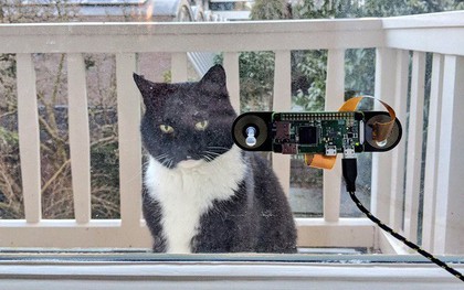 Kỹ sư tự chế hệ thống nhận diện mặt mèo để hầu hạ "boss" yêu quý, giá chỉ hơn 1 triệu đồng