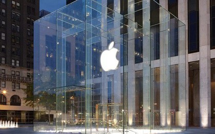 Bị rệp tấn công quá đông và hung hãn, Apple Store ở New York phải đóng cửa