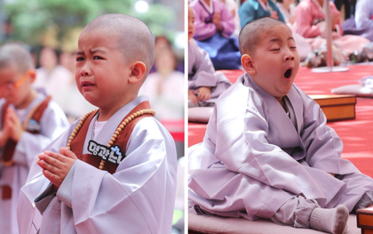 Loạt sắc thái đáng yêu hết nấc của các chú tiểu trong ngày xuống tóc đón lễ Phật Đản ở Hàn Quốc