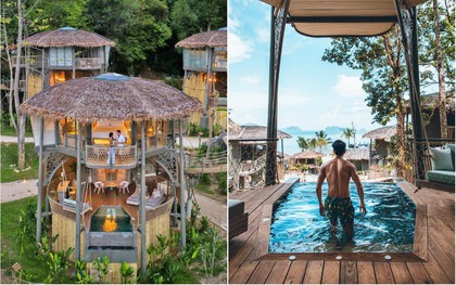 Treo mình như Tarzan ngoài đời thực ở resort 5 sao trên cây đang là tâm điểm Thái Lan