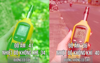 Clip: Sài Gòn nóng bức và đây là sự chênh lệch nhiệt độ giữa đường nhiều cây xanh và đường không một bóng cây