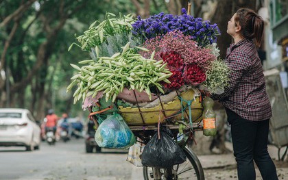 Tháng 4 về, Hà Nội lại dịu dàng những gánh loa kèn trắng tinh khôi, thơm nồng nàn khắp các góc phố