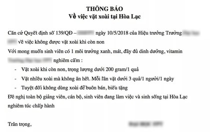 Trường Đại học gây tranh cãi với quy định: Cấm hái xoài để bán, mỗi lần chỉ được vặt 3 trái