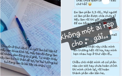 Một mình gánh team làm hết bài thuyết trình, nữ sinh than trời vì không biết là "teamwork" hay "tao-work"