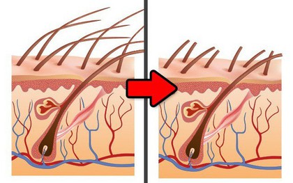 9 sự thật chúng ta ai cũng tin từ bé nhưng hóa ra lại sai be bét