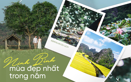 Ninh Bình đẹp thì ai chẳng biết, nhưng đây mới là thời điểm đẹp nhất, hội tụ những thứ "tuyệt đỉnh" trong năm