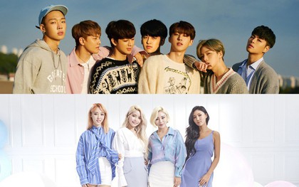Những lần fan tẩy chay idol: Biết lý do mới thấy đau lòng