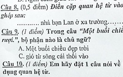Chỉ một bài tập Tiếng Việt bắt tìm chủ ngữ của câu mà khiến dân mạng chia phe cãi nhau kịch liệt