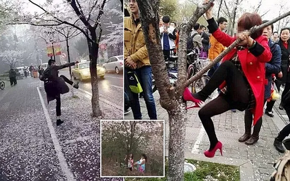 Những kiểu khách du lịch “tạo nghiệp” cứ đi tới đâu là khiến người khác “dị ứng” tới đó, bạn đã từng thấy chưa?