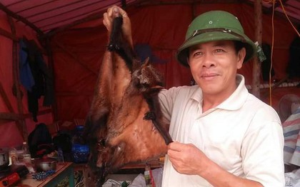 Truy tìm người đàn ông khoe ảnh giết thịt chồn bay quý hiếm trên facebook