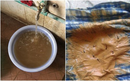 Nước sinh hoạt của SV bẩn như nước ao, ĐH Kinh tế quốc dân xin lỗi