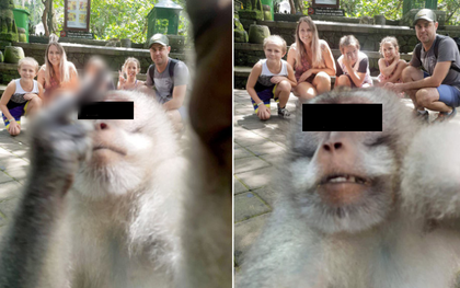 Khỉ con bày tỏ lòng hiếu khách bằng cách giơ 'ngón tay thối' vào ống kính giữa lúc cả gia đình đang chụp ảnh du lịch