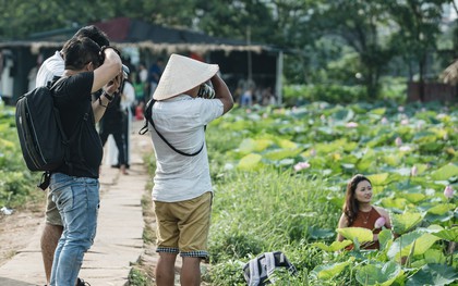 Đầm sen ở Nhật Tân có gì hot mà người dân Hà Nội ùn ùn kéo đến, lội xuống hồ chụp ảnh mỗi ngày?