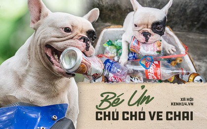 Đây là gia tài "siêu to khổng lồ" của Ủn - Chú chó thích đi nhặt ve chai ở Hà Nội