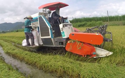 Nghệ An: Kỷ luật 2 cán bộ huyện “ăn chặn” tiền của nông dân