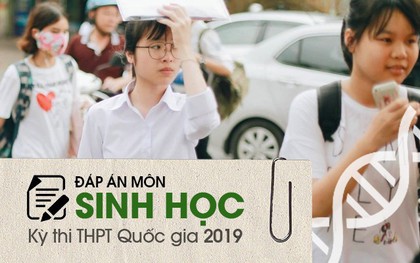 Đáp án đề thi môn Sinh THPT quốc gia 2019 (tất cả 24 mã đề)