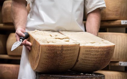 Bạn có biết: hầu hết phô mai Parmesan của Mỹ là… "giả"