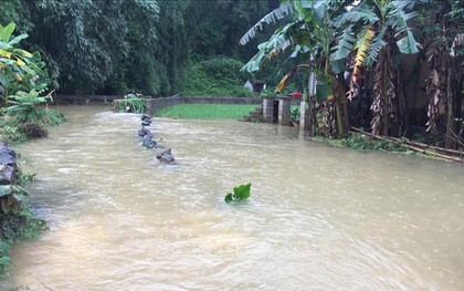 Mưa lớn ở Cao Bằng gây ngập hơn 900 ngôi nhà, 1.000 ha lúa và hoa màu