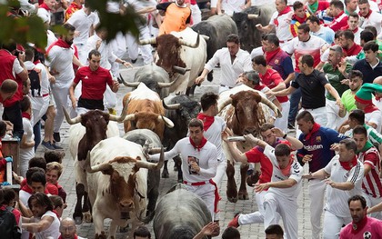 Thêm 8 người phải nhập viện trong lễ hội rượt bò tót ở Tây Ban Nha