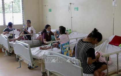 555 người tử vong vì sốt xuất huyết tại Philippines và Thái Lan