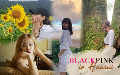 Vừa trở về Seoul, các thành viên BLACKPINK liền “xả” loạt ảnh nghỉ dưỡng và khám phá Hawaii, có Blinks nào “cheap moment” luôn không?