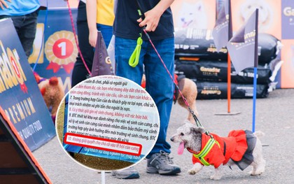 Quy định cấm chó cỏ tham gia Lễ hội cún cưng 2019 khiến nhiều người bức xúc, BTC lên tiếng