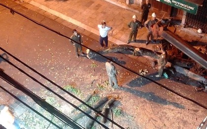 Hà Nội: Nhiều người tiếc nuối khi cây sưa lớn bất ngờ bị chặt hạ trong đêm