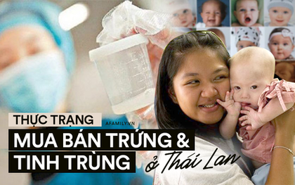 Thị trường mua bán trứng và tinh trùng phi pháp ở Thái Lan: Người người "săn giống" đẹp và thông minh giá nghìn đô của người mẫu và nam sinh y khoa