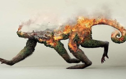 Sự thật về loạt hình thú rừng chết cháy ở Amazon gây ám ảnh: Hỏa hoạn và những cái chết là thật, nhưng không liên quan đến nhau!