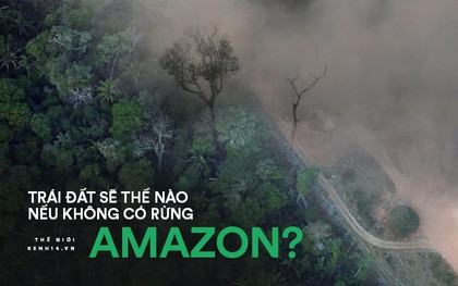 Cái kết của một hành tinh nếu rừng Amazon biến mất: Đừng nói cứu thế giới, bạn đang tự cứu chính mình mà thôi!