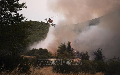 Sơ tán hàng trăm du khách do cháy rừng tại đảo Samos, Hy Lạp