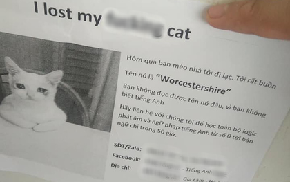 Cứ tưởng thông báo tìm mèo lạc, ai ngờ là quảng cáo trung tâm tiếng Anh trá hình: "Đọc xong mà phát tức"!
