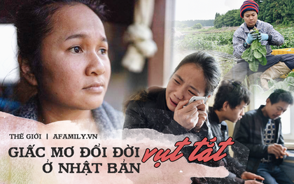 Góc khuất về "miền đất hứa" Nhật Bản: Người lao động nước ngoài bị ngược đãi, vắt kiệt sức lực, bỏ mạng nơi đất khách, không đủ tiền về nhà